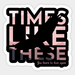 Times like these - Hawkins Sticker